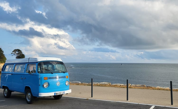 Zeppelin – Vintage Trip, combi westfalia 