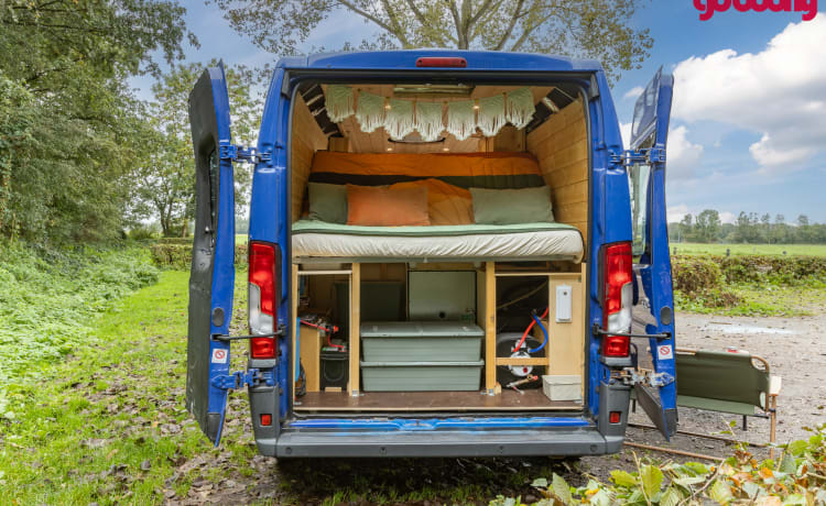 Ollie – Comfortable, attractive 2 person bus camper