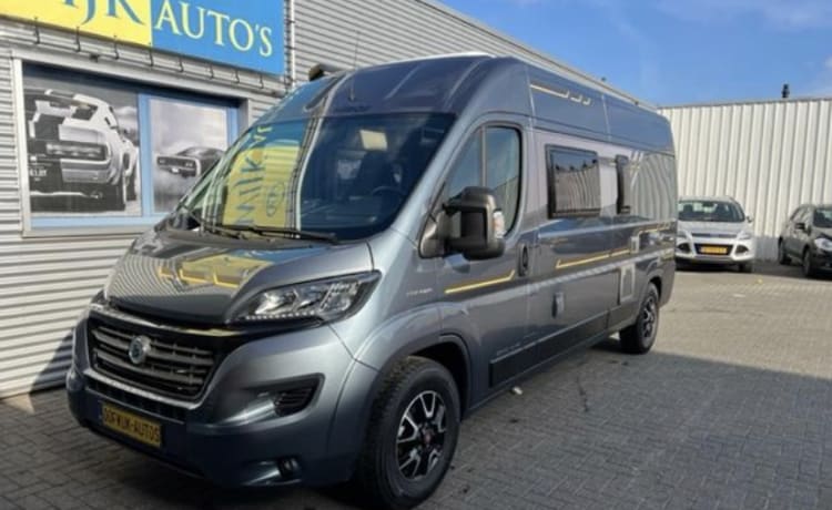 Benimar – Two-person Fiat bus camper from 2019, as new