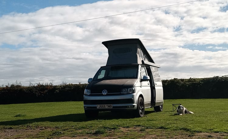 Jess The Wonder Bus – 4-persoons Volkswagen campervan uit 2018