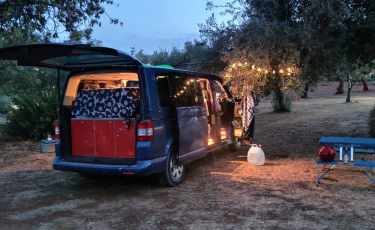 bluesky – vw t5 langer radstand, frei auf der straße umgeben von einem blauen himmel