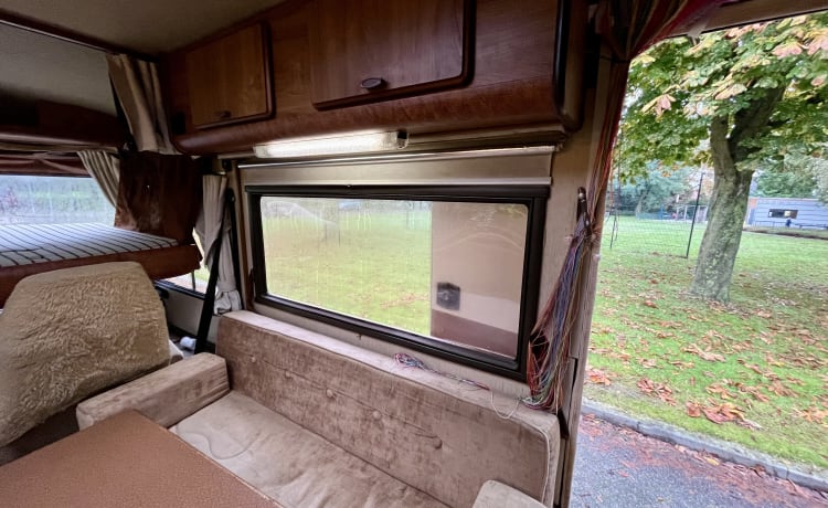 Bruine Beer – Hymer, Brown Bear from 1985 in top condition