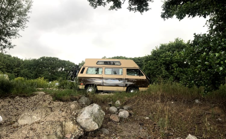 Charlie – VW T3 Adventurewagon Automaat - Californië geïmporteerd