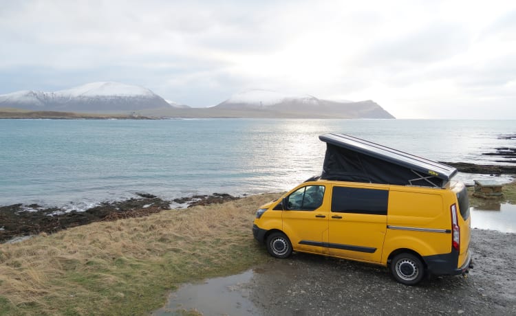 Bumble – Bumble, de perfecte camper om Orkney te verkennen