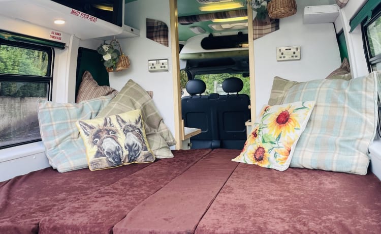 Annie The Ambulance – Ex-Ambulance, 3 Birth, Converted Campervan