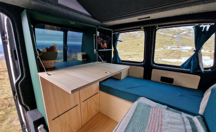 Louise – Magnificent T6 fitted out in wood