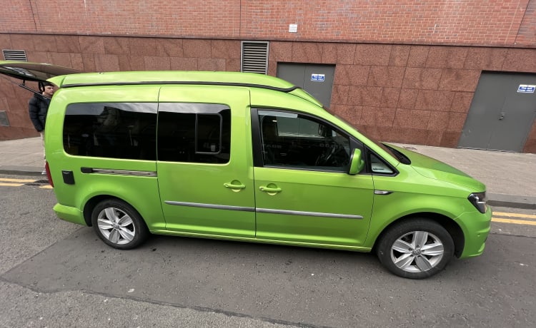 Green  – Minicamper mit 2 Schlafplätzen