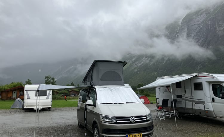 Bulli – Volkswagen California T6 Ocean (Volle Optionen)