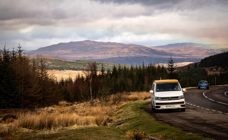 Nessie – VW T6 Camping-car