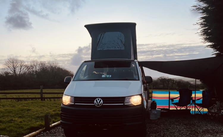 Nigel  – Midlands 2 Coast Campers, newly converted for all your camping needs! 