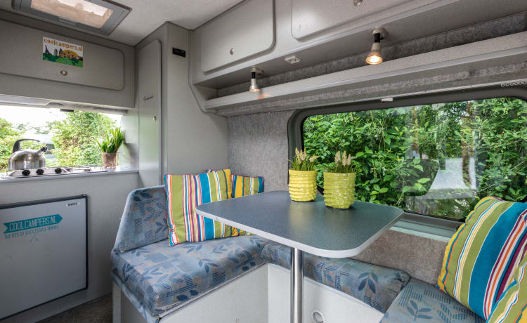 Type 5 – Compacte All seasons camper