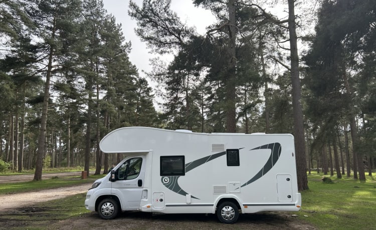 Brand New - Motorhome to Hire - 7 belts 7 berth Chausson 2024