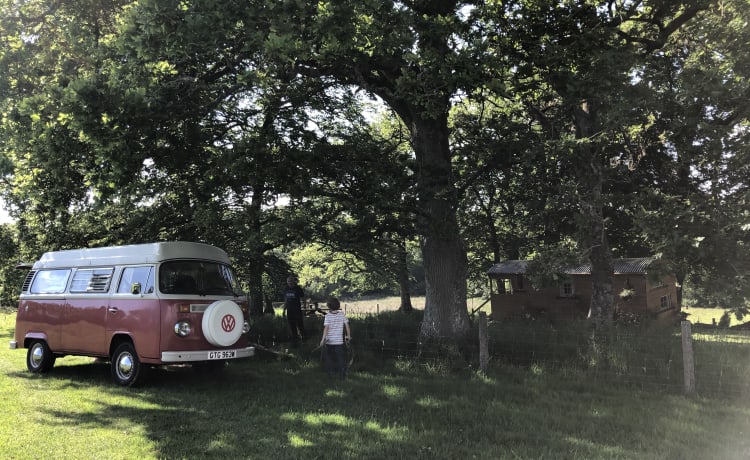 Roses – Vintage Devon 4 berth Volkswagen Camper 1981 - Relaxing Camping Classic 