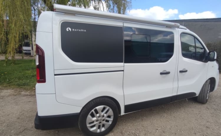 Van aménagé Renault trafic Bavaria