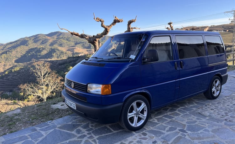 Tenzing – Classico camper VW T4 con 2 posti letto manuale