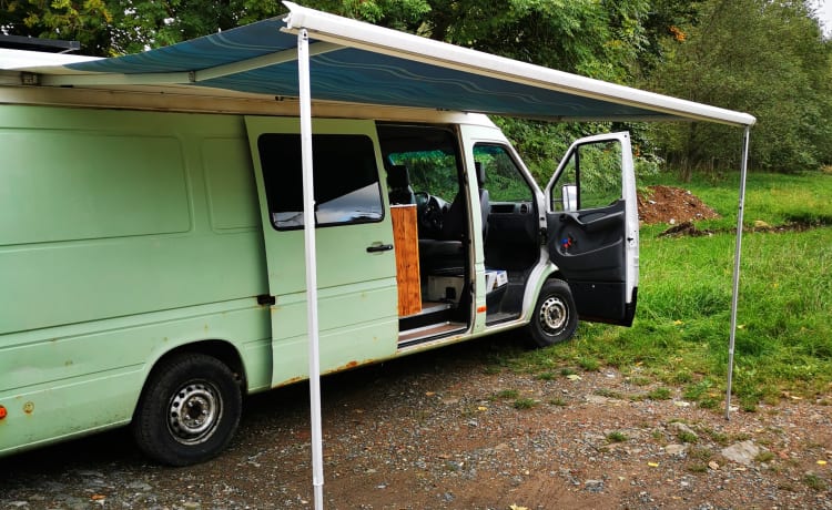 Kurti – Family Vanlife 