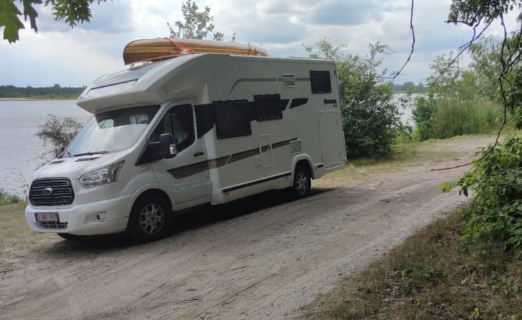 4p Ford semi-integrated from 2019