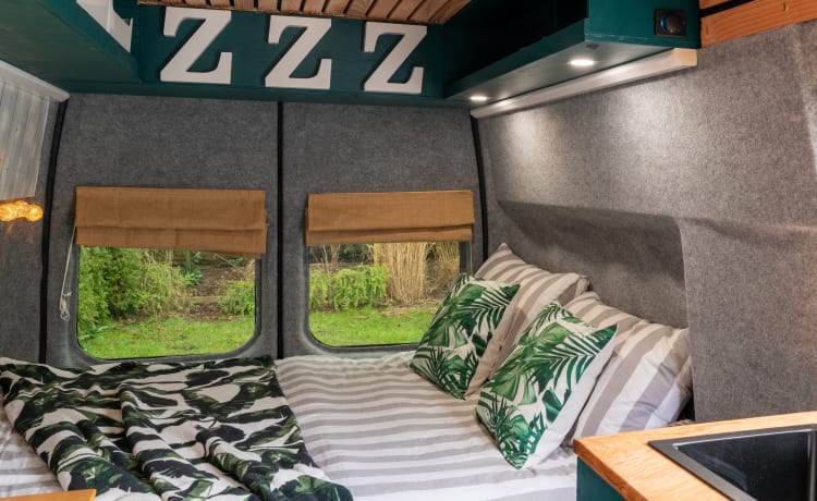 Sparrow's nest – All season Off grid campervan with full length double bed  *Pet friendly*