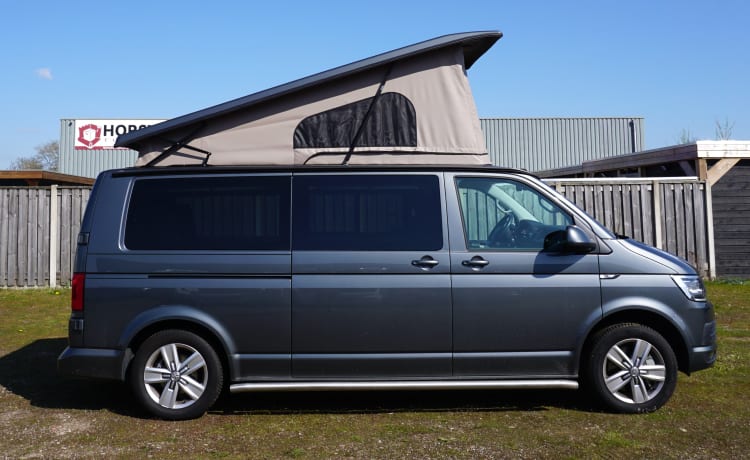 Hendrik – 4p Volkswagen campervan from 2017