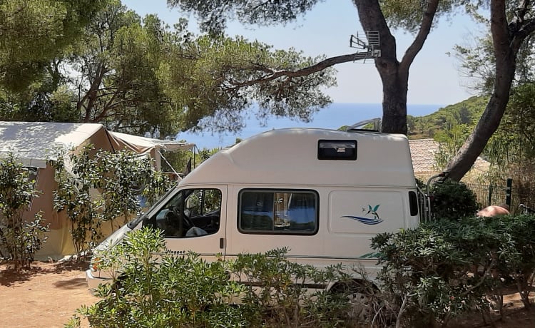 Een heerlijke compact camperbusje