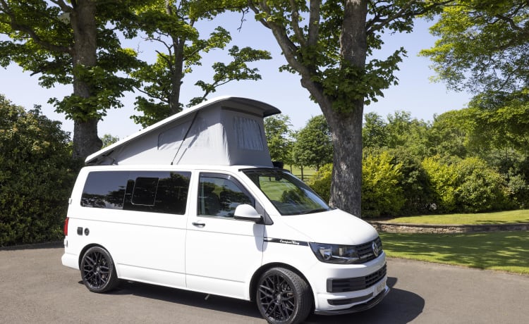 *** FOR SALE ***  – VW Transporter T6 - CamperKing