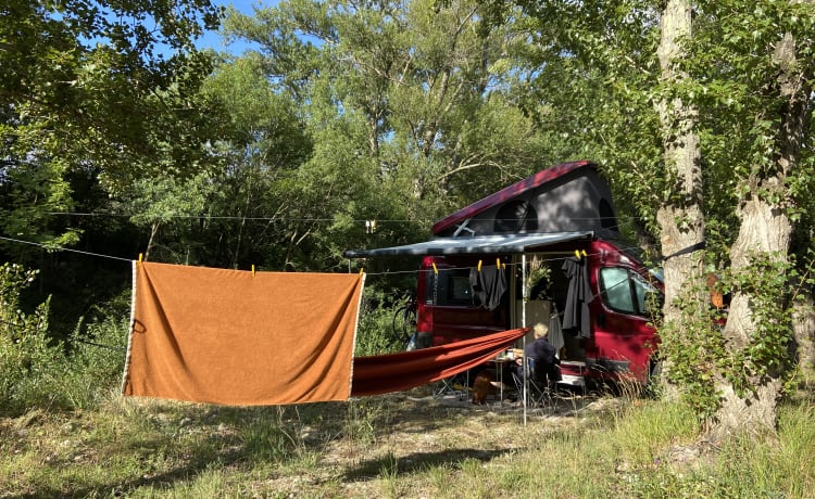 Camping-car Dreamer D43 Up