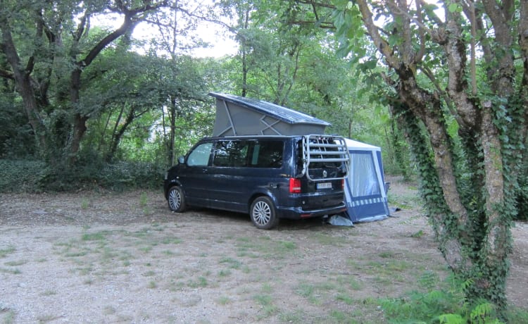 4p Volkswagen Bus von 2013