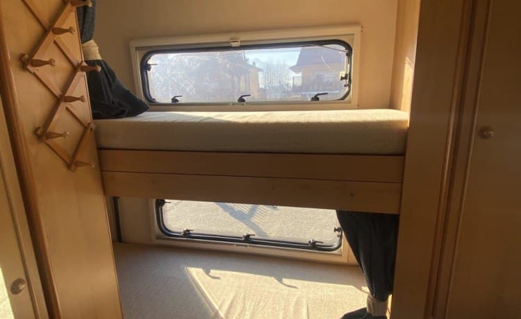 Dookie – CARIOCA DUCATO 6 BEDDEN