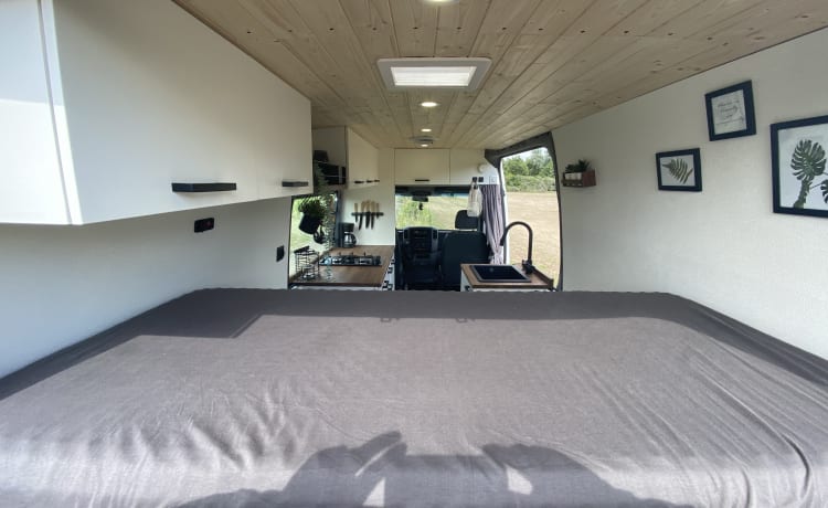 Unique, compact and modern bus camper (self-sufficient)