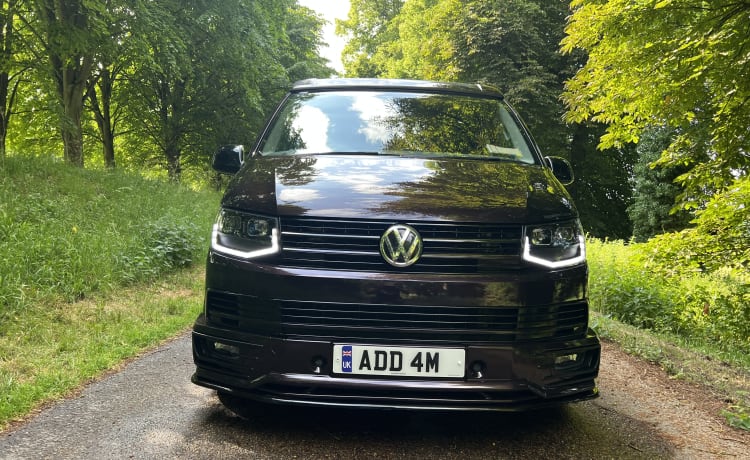 ADDAM – 4 berth Volkswagen bus from 2016