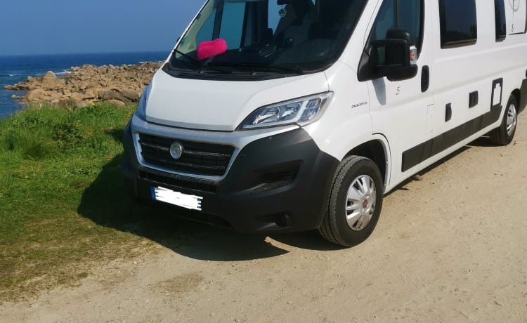 fiat ducato van