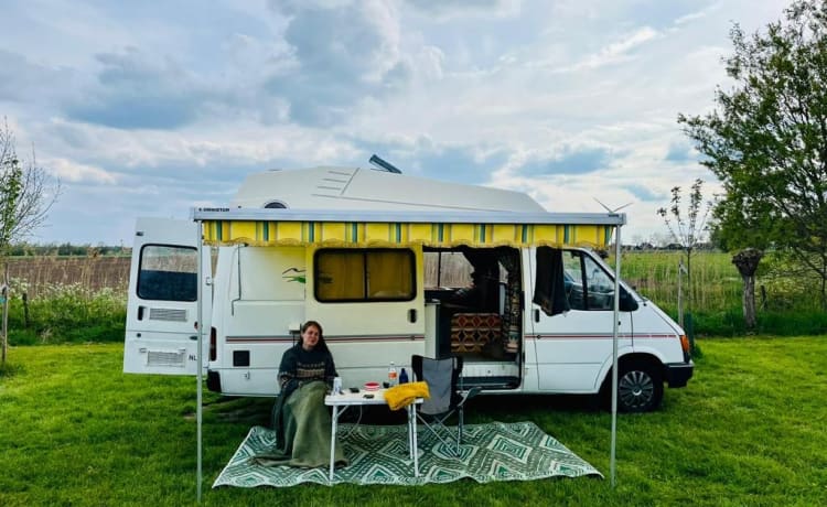 Tina – Retro Hippie Ford Transit Camper Petrol