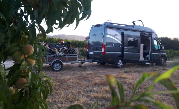 Globe traveller Pathfinder X Peugeot camperbus 2019