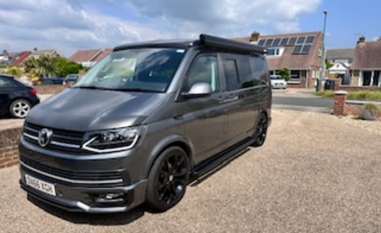 Grey Wolf – 4-persoons Volkswagen campervan uit 2016