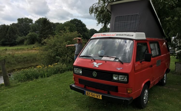 My Dreams – Leuke Oude VW Camper