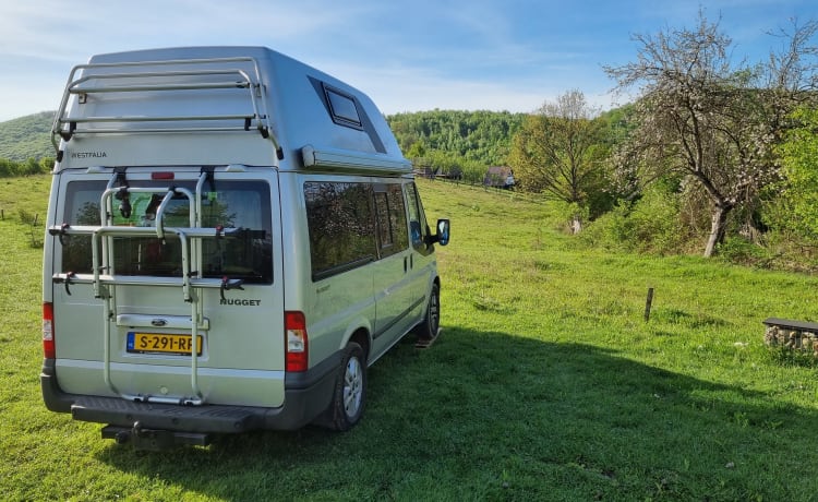 Bop – Ford Nugget mit Hochdach