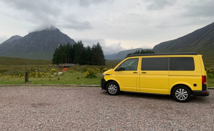 Sunny – Luxuriöser VW-Campervan zu vermieten. Sitz in Glasgow, Schottland. 