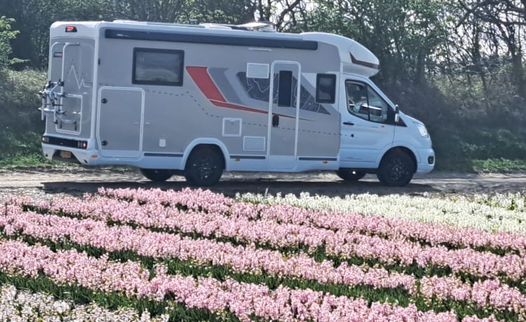 Challenger – Piacevole camper Ford 4 posti del 2023