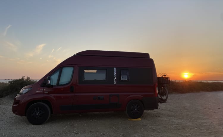 Wohnmobil Dreamer D43 Up