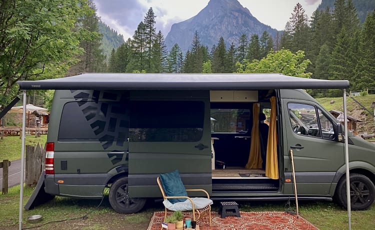 GreenLife – Mercedes Sprinter, sehr geräumiger attraktiver Camper, 7 Meter