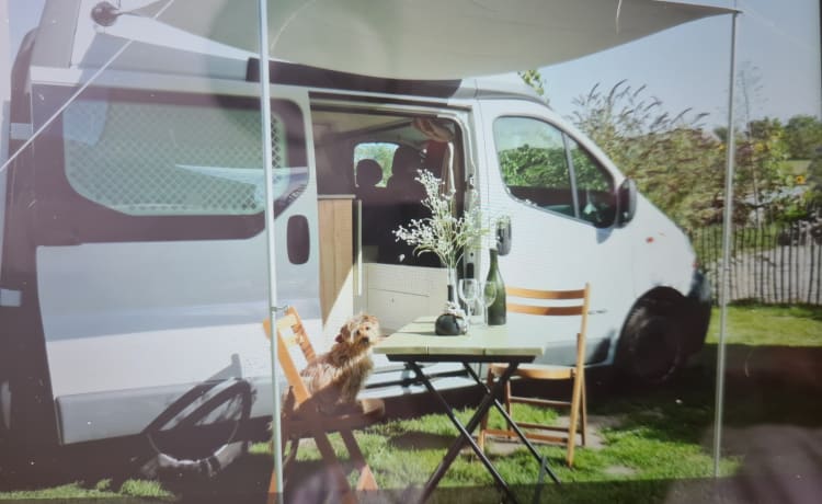 Renault Camper bus – Leuke en sterke campervan uit 2005