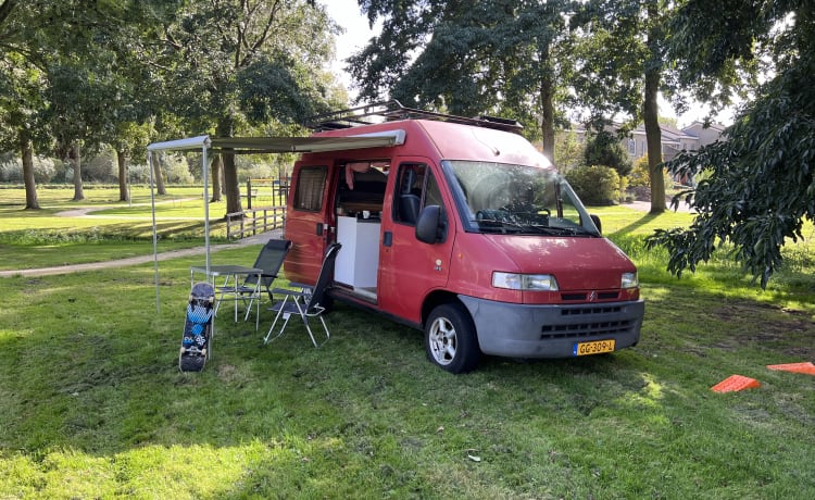 Daisy – Daisy de complete camperbus!