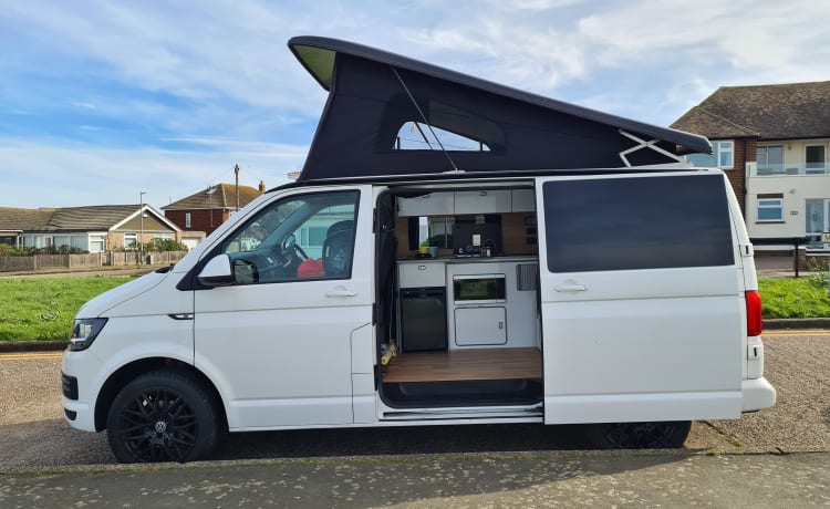 5 seater 4 berth Volkswagen T6 VW campervan 2019