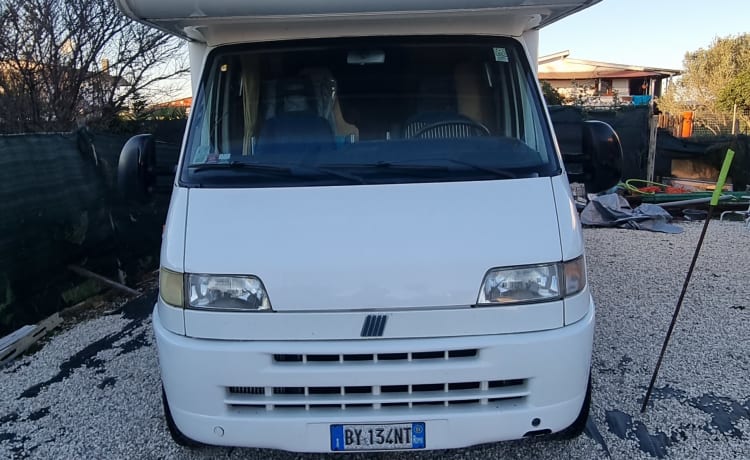 falcon – Fiat Camper Moncajo Zolder - 7 Zitplaatsen