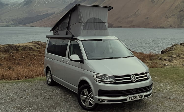 VW California Ozean