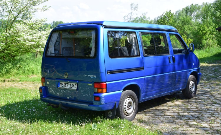 Blue – Kultklassiker original Westfalia California 