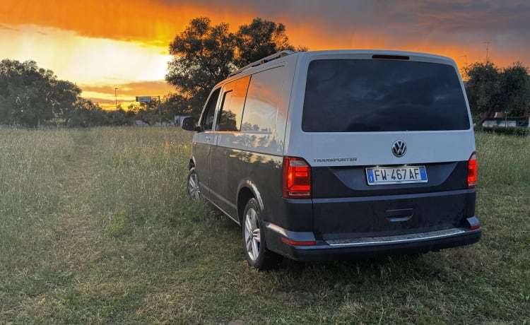 Vulamdander Van Adventure – Volkswagen T6 