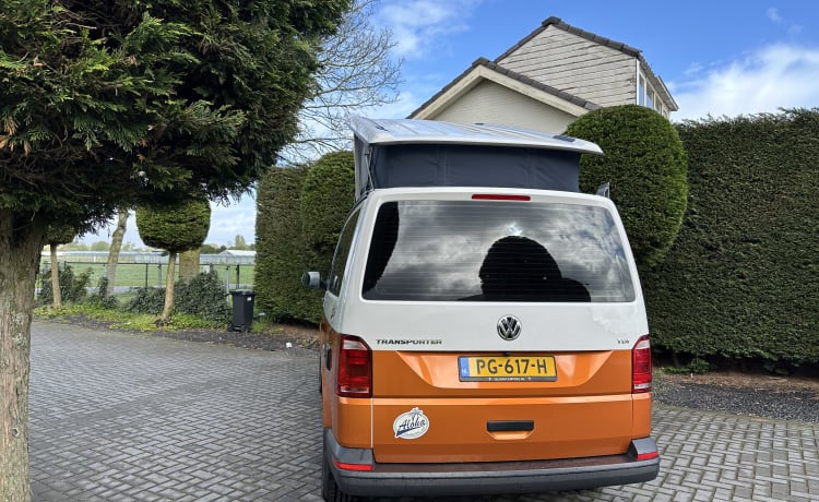 Camper Bronze – p Volkswagen bus from 2018