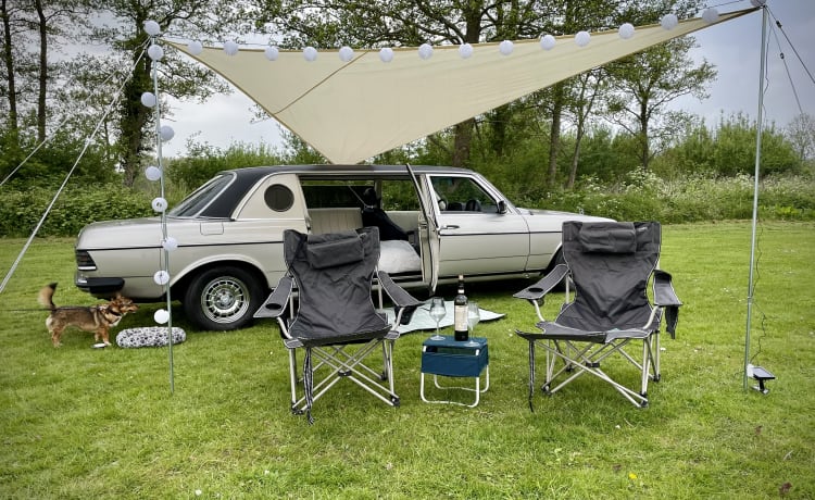 Camping-car LIMOUSINE extrêmement élégant