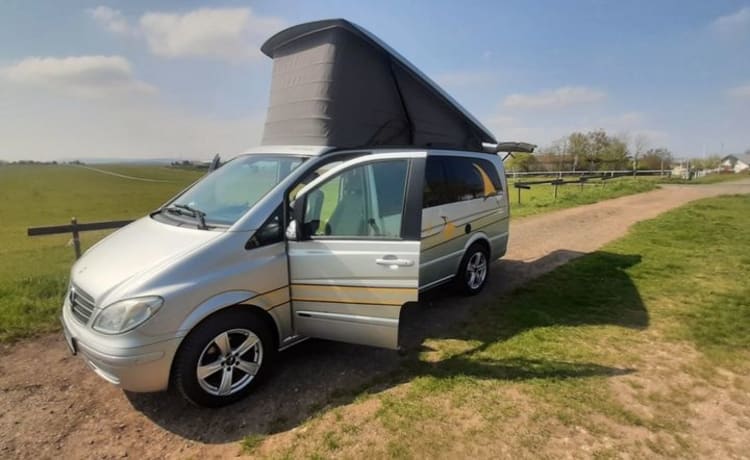 Marco – Mercedes-Benz Viano CDI 2.2 Aventurier adulte